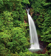 Panama photo